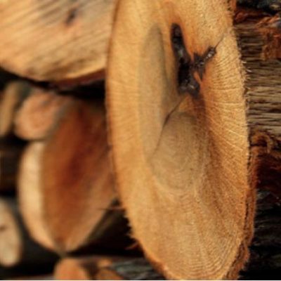 Legname da falegnameria